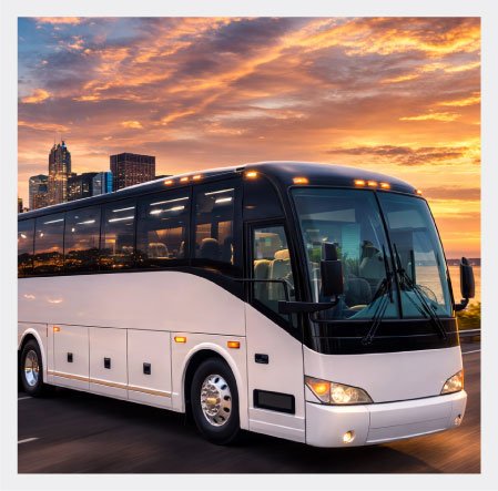 Image-about-web-site-Monarca-Chicago-Tours