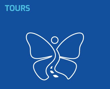 image-tours-web-site-Monarca-Chicago-Tours